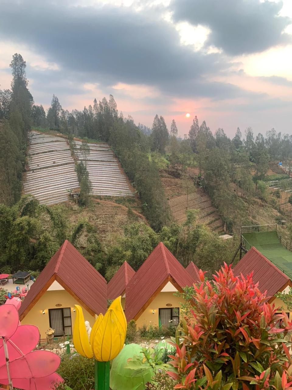 Hotel Nature Bromo And Resort 岩望 外观 照片