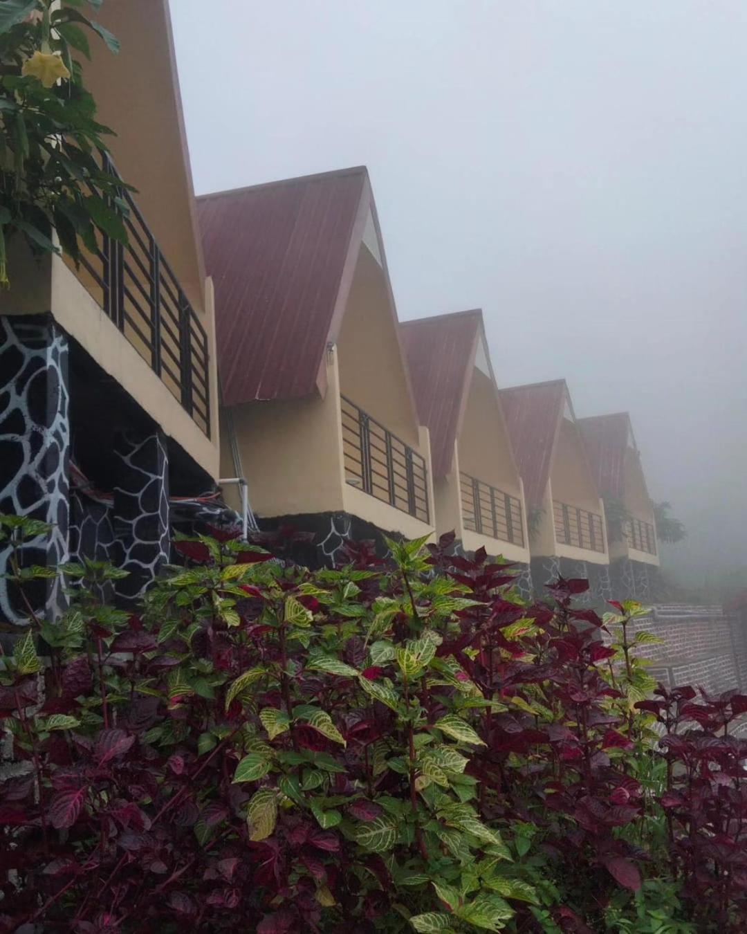 Hotel Nature Bromo And Resort 岩望 外观 照片
